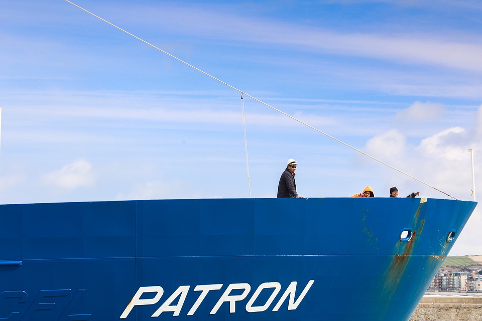 Seafarers 'Willing but Wary' of Ammonia Bunker as Fuel, Survey Finds
