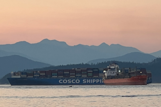 Red Sea Diversions: Congestion Worries Grow Ahead of Lunar New Year Holiday