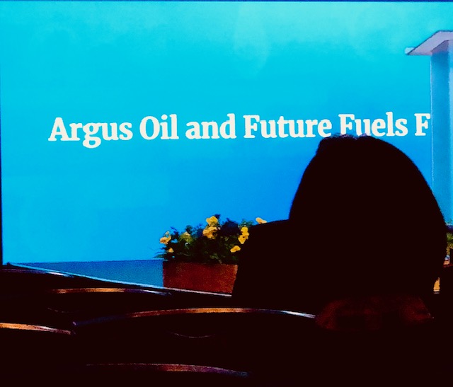 Alternative Marine Fuels: Are We There Yet?