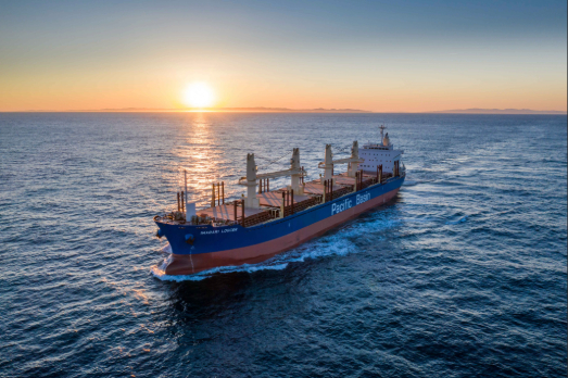 Pacific Basin Revamps Bunker Team Around Sustainable Energy