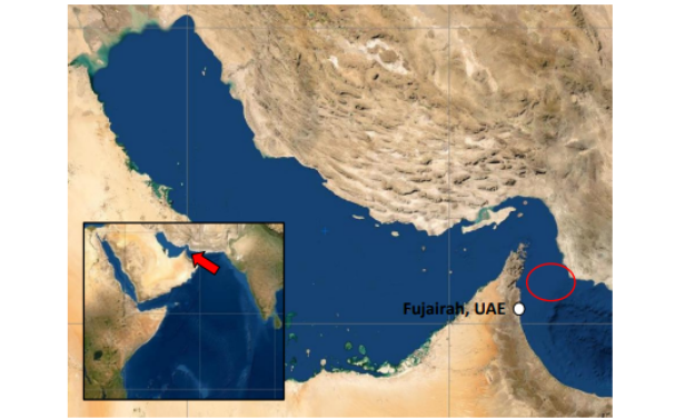 MSC Ship Boarded by Iranian Forces Near Strait of Hormuz