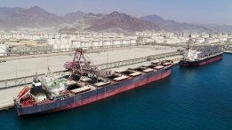 Vitol Supplies Fujairah's First Biofuel Bunker Stems