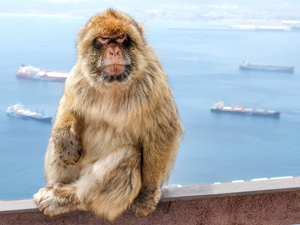 Gibraltar: UK Logs More Incursions Than Spain