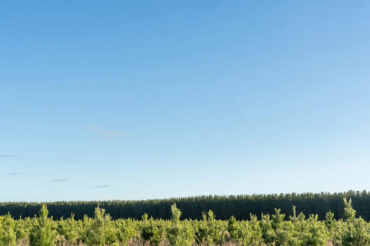 OneFortyOne and HAMR Energy Collaborate for Renewable Methanol Project