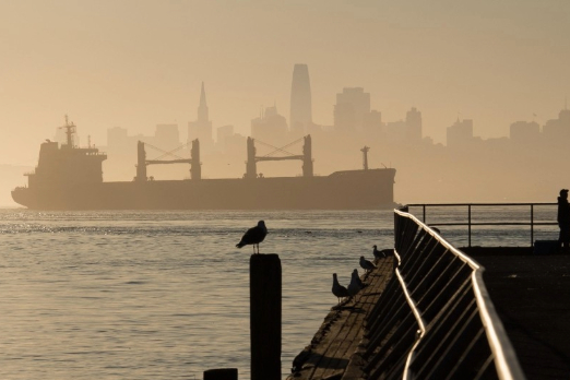 Report Calls for Common Standards for Safe Havens in Ammonia-Fuelled Ships
