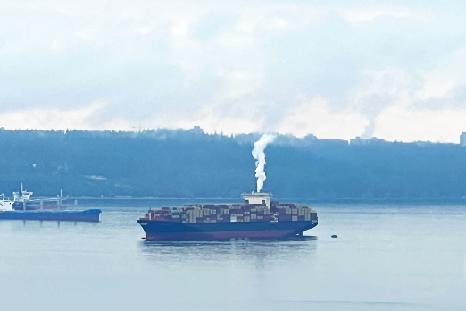 Swedish Bank SEB Encourages Uptake of Alt-Bunker Fuels with New Emissions Target for Shipping Portfolio