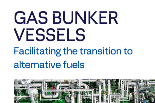 LNG Bunkering Bottleneck Could Shift From Vessels to Ports, DNV Warns