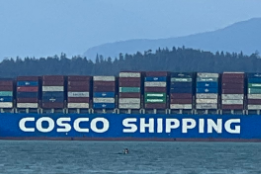 Cosco Shipping Energy Transportation Orders 6 Methanol Fuelled Tankers