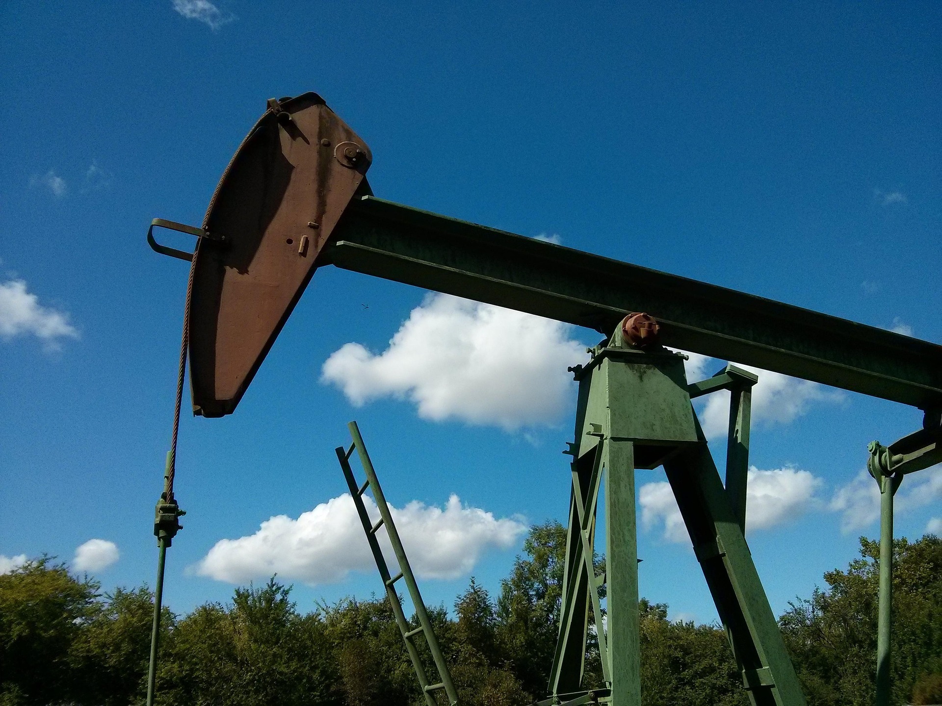 Oil Pares Gains on Report of G7 Joint Oil Reserve Release Talks