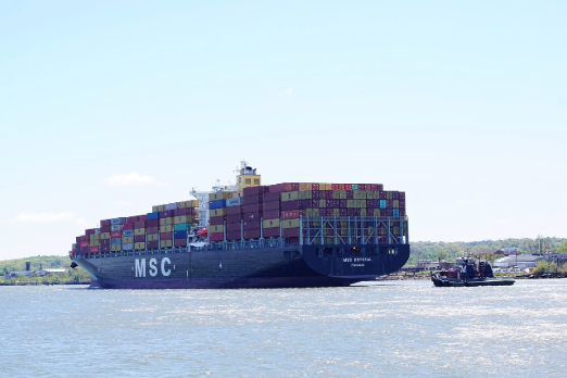 MSC Adds 692,000 TEUs in 2024 to Expand Lead Over Rivals: Report