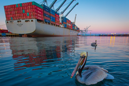 Port of Long Beach Hails 88% Reduction in Diesel PM Emissions