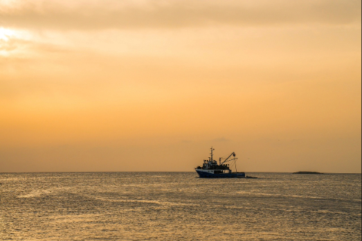 IMO-EU Project Seeks African Governments for Alternative Fuel Support