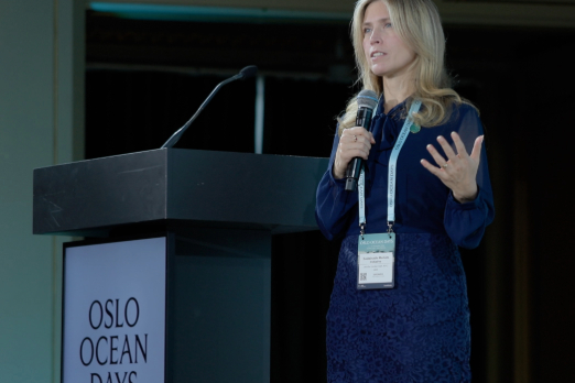 Flexibility Seen as Key to Shipping's Fuel Transition: SMI CEO