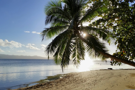 Pacific Island States Say IMO Net-Zero Fund Essential for Shipping Mid-Term GHG Measures