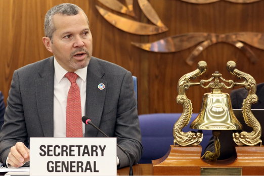 IMO Secretary-General: All Parties Must Respect Freedom of Navigation