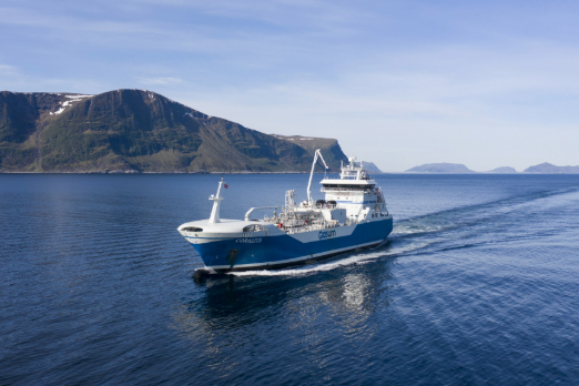 Bio-LNG Share of Gasum Marine Fuel Sales Jumped to 12.3% in 2025