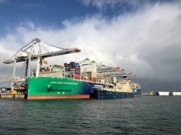 One Stem Took Up 25% of Rotterdam's Fourth-Quarter LNG Bunker Volumes