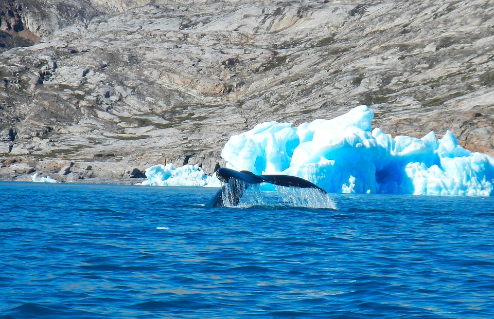 Call for Action on Underwater Noise From Shipping in Arctic