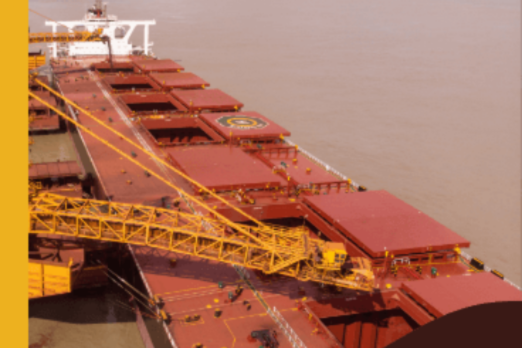 First Significant Interest From Dry Bulk Segment in Methanol Bunkering as Vale Seeks New VLOCs