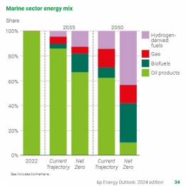 Oil Products' Bunker Market Share at 10% by 2050, Says BP