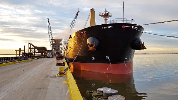 Bulk Carrier Starts Biofuel Trial at Port of Rotterdam