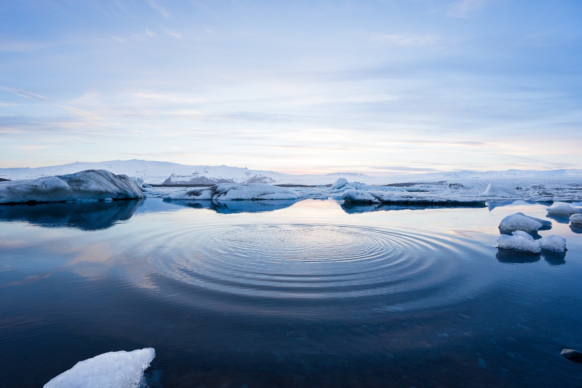 Environmentalists Criticise Loopholes in IMO Arctic Fuel Oil Ban