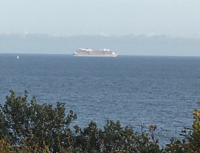 Protesters in Norway Target Cruise Ship Emissions