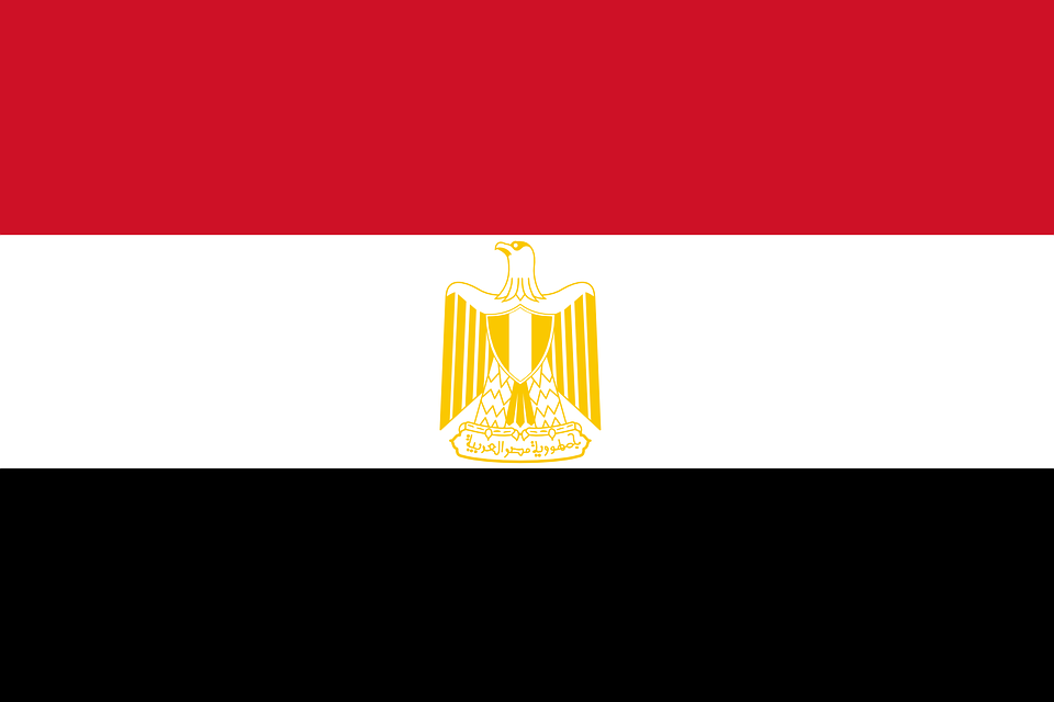 International Firms to Bring Higher-Quality Bunkers to Egypt: Nolu Energy