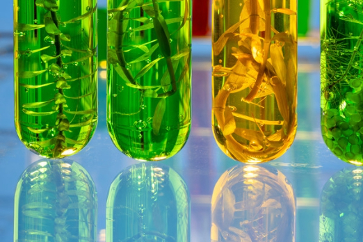 BIMCO Advances Work on Biofuels Clause for Time Charter Parties