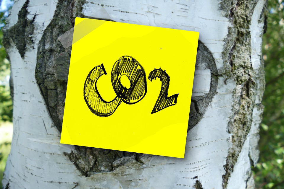 ABS Publishes Report on Onboard Carbon Capture