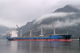 Slow Steaming Saves Money, IMO Told