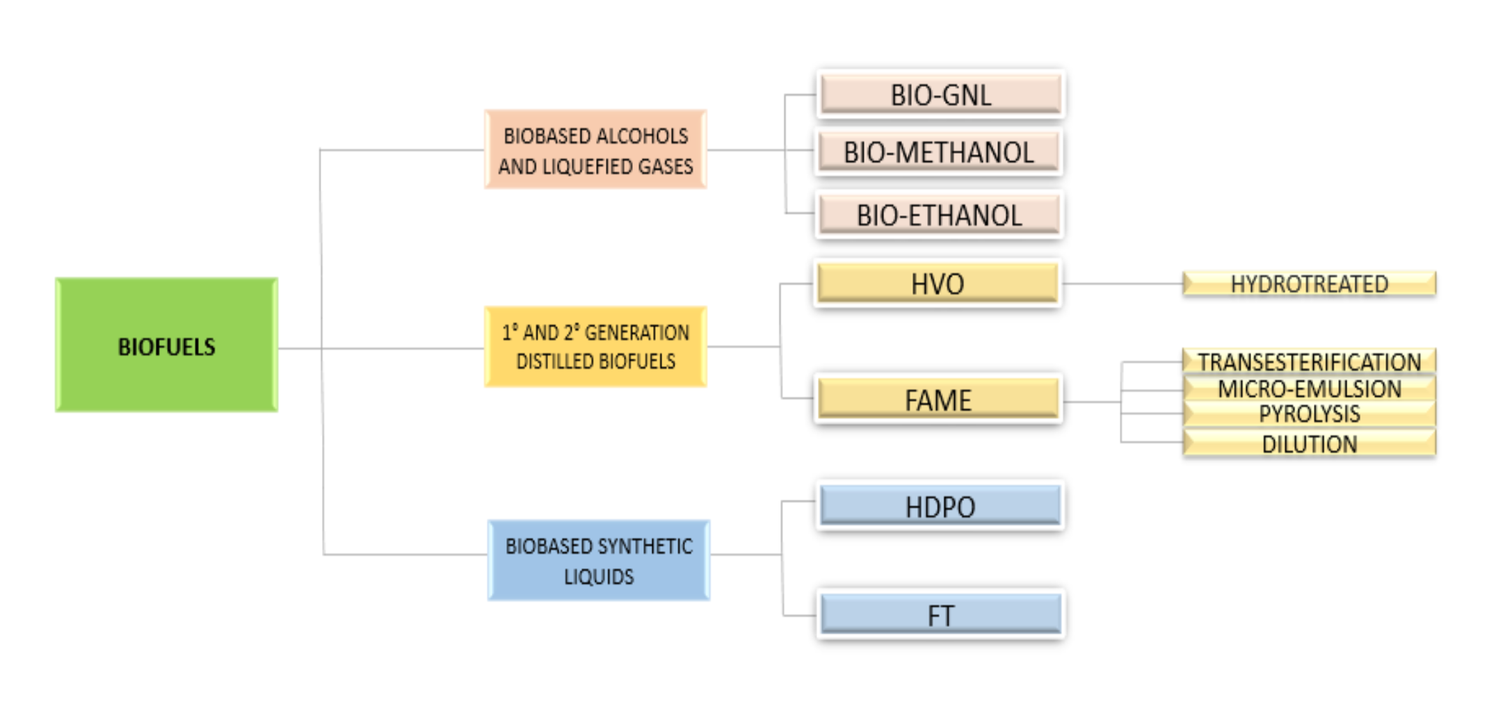 WHITEPAPER: Bio-Bunkers the Immediate Solution to the Energy Transition