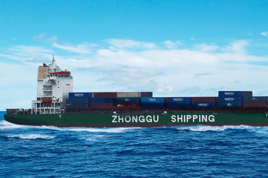 Israel Conflict Halts Container Line's Mediterranean Service