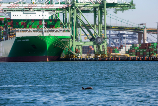 Port of Los Angeles Posts Busiest Month for Container Cargo in September