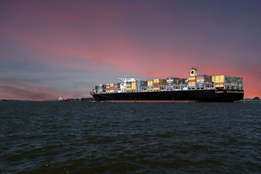 At Least Two Types of Contamination Causing Houston Bunker Fuel Problems