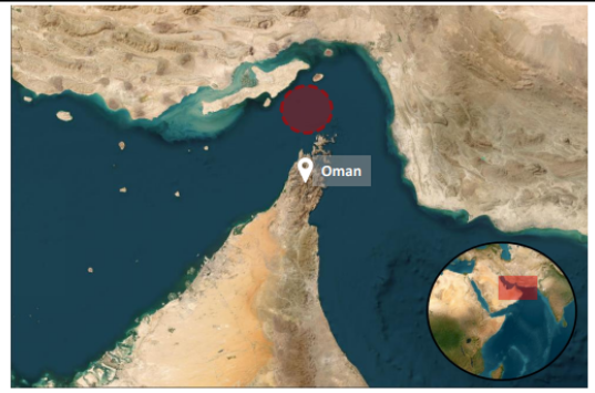 Container Ship Abandoned in Strait of Hormuz After Attack Causes Engine Fire