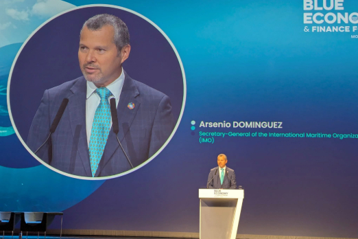 We Need Alternative Fuels, Regulations Alone Won't Work: IMO Chief