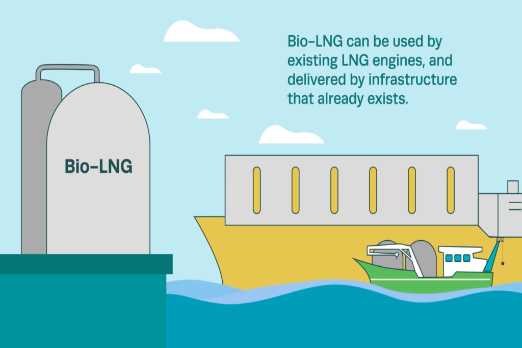 Regulations, Not Availability, Holding Back Uptake of Carbon Neutral Bio-LNG: SEA-LNG