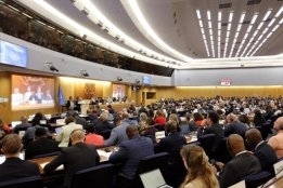 IMO 2028 Deal Sparks Disappointment as Flat Levy Ditched