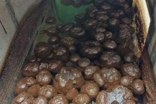 Study Finds Marine Biofuel Spills Can Be Managed with Existing Oil Response Tools