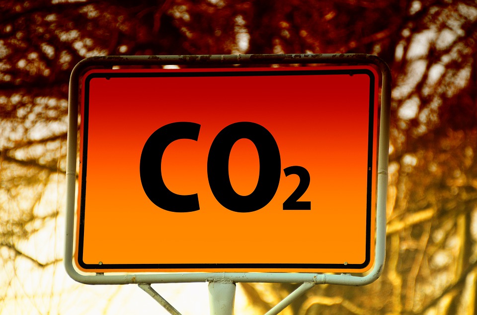 Emulsion Bunker Firm Quadrise's Name Change Signals Decarbonisation Push