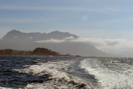 Canada to Tackle Bunker Fuel Leaking from 50+ Year Old Wreck
