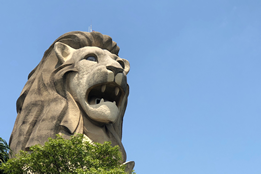 Mercuria, Trafigura, GP Global Eye Singapore Bunker Supplier Role: Report