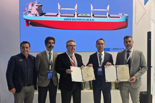 RINA Approves Dual-Fuel Bulker Design Developed by SDARI and Almi