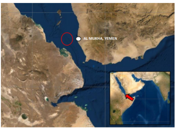 UK Reports Drone Boat Sighting in Red Sea