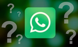 Have Your Say: Is it OK to Use WhatsApp in Bunker Deals?