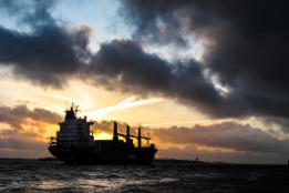 VIEWPOINT: 'Ammonia-Ready' Ships - Greenwashing or Milestone to Zero Carbon?