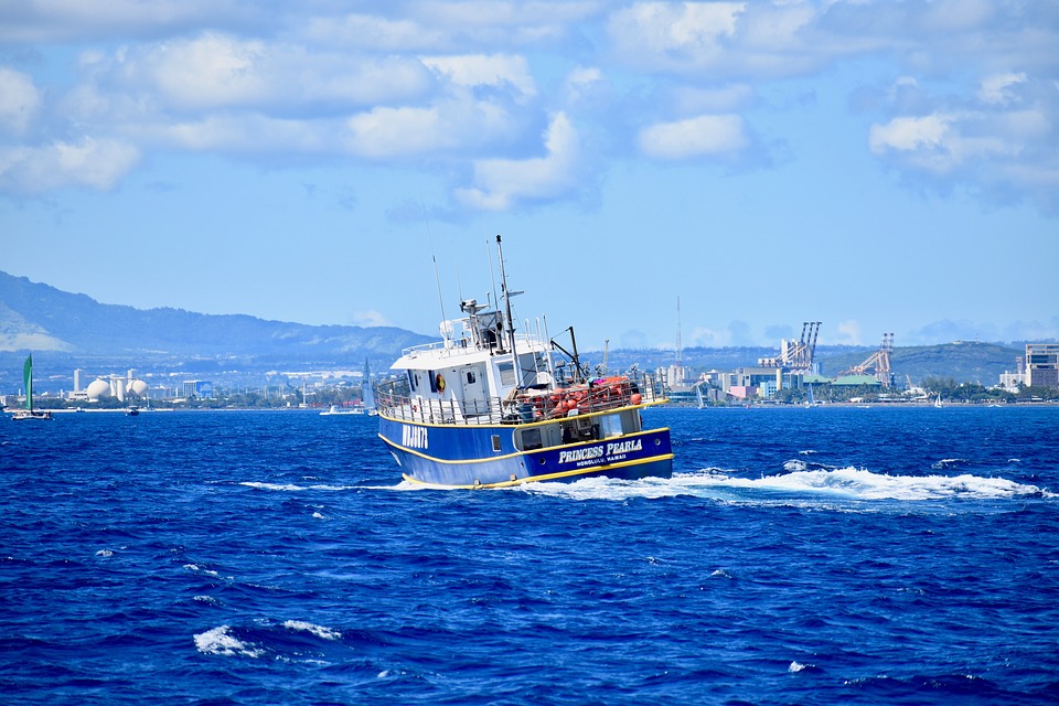 Cruise Ships Make Bunker Only Calls at Honolulu
