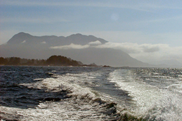 Bunker Spill Off Vancouver