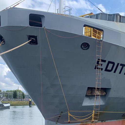 Finnish Operator Switches Boxship From LSFO to Biofuel